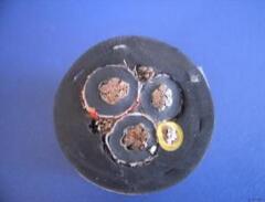 ������̳��hibet(�й�)�ٷ���վ