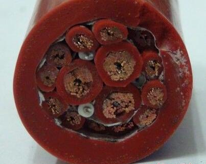 海博论坛·hibet(中国)官方网站