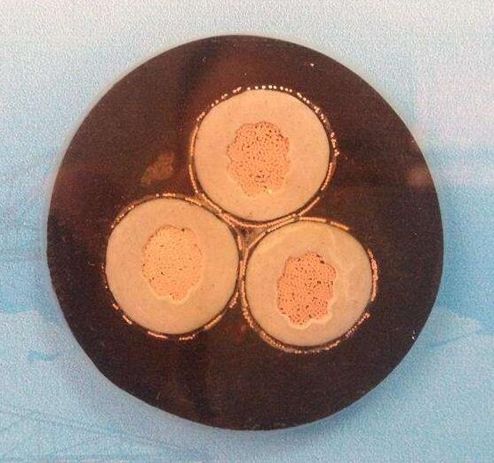 ������̳��hibet(�й�)�ٷ���վ