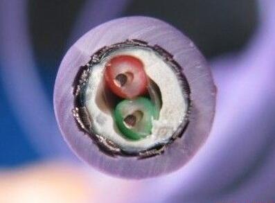 ������̳��hibet(�й�)�ٷ���վ