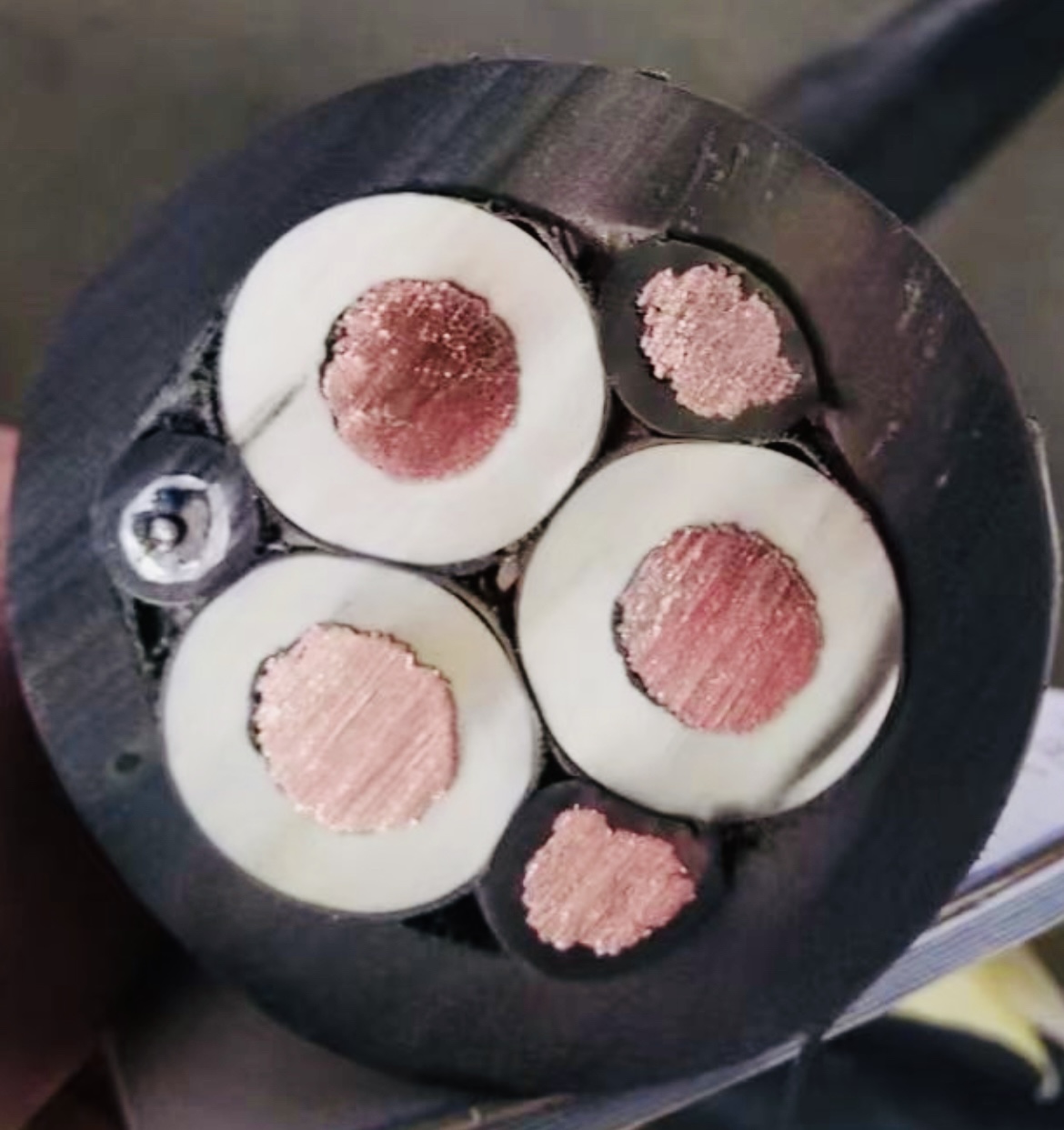 ������̳��hibet(�й�)�ٷ���վ