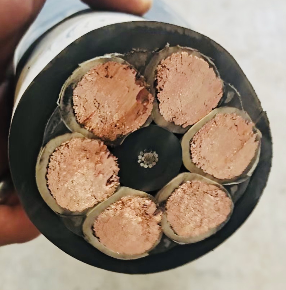 ������̳��hibet(�й�)�ٷ���վ