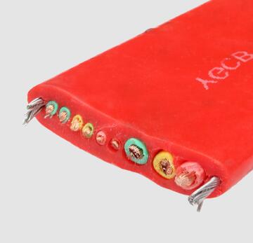 ������̳��hibet(�й�)�ٷ���վ