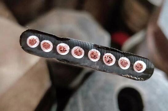 ������̳��hibet(�й�)�ٷ���վ