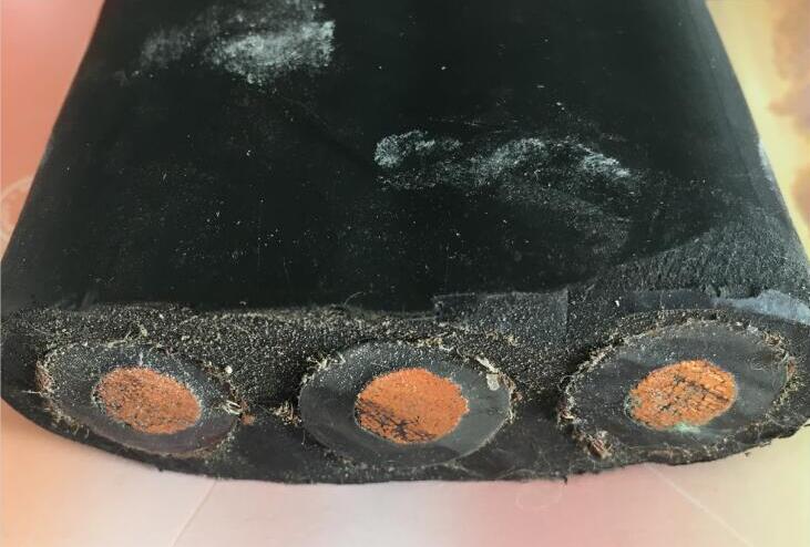 ������̳��hibet(�й�)�ٷ���վ