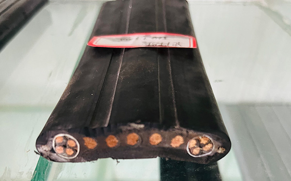 海博论坛·hibet(中国)官方网站