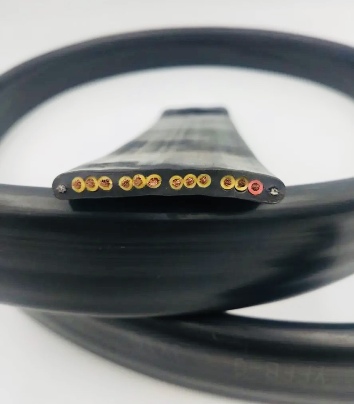 ������̳��hibet(�й�)�ٷ���վ