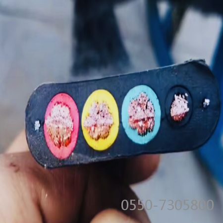 海博论坛·hibet(中国)官方网站