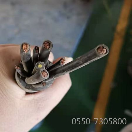 海博论坛·hibet(中国)官方网站