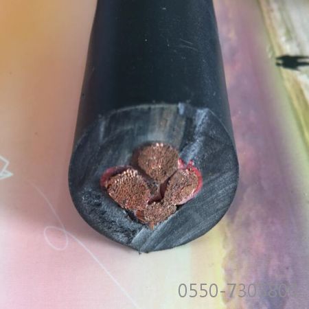 ������̳��hibet(�й�)�ٷ���վ