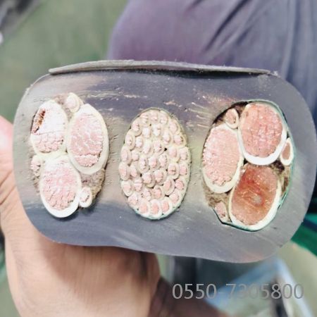 海博论坛·hibet(中国)官方网站