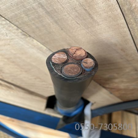 ������̳��hibet(�й�)�ٷ���վ