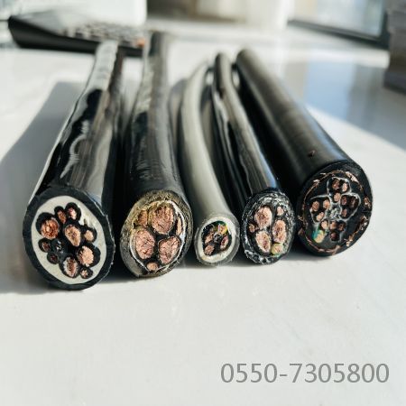 ������̳��hibet(�й�)�ٷ���վ