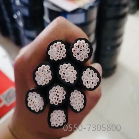 ������̳��hibet(�й�)�ٷ���վ