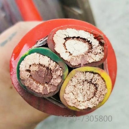 ������̳��hibet(�й�)�ٷ���վ