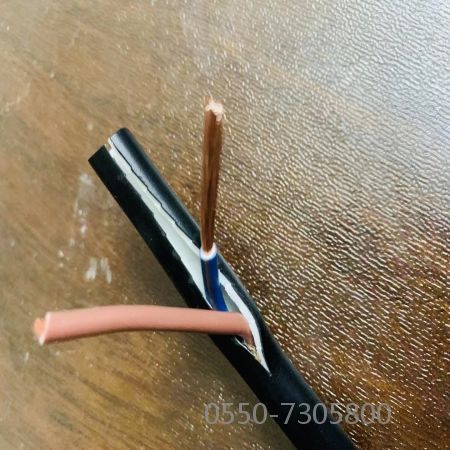 海博论坛·hibet(中国)官方网站