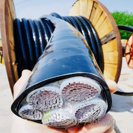 ������̳��hibet(�й�)�ٷ���վ