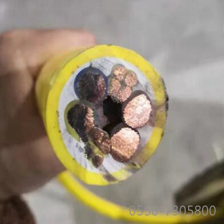 ������̳��hibet(�й�)�ٷ���վ