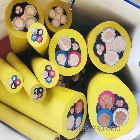 ������̳��hibet(�й�)�ٷ���վ