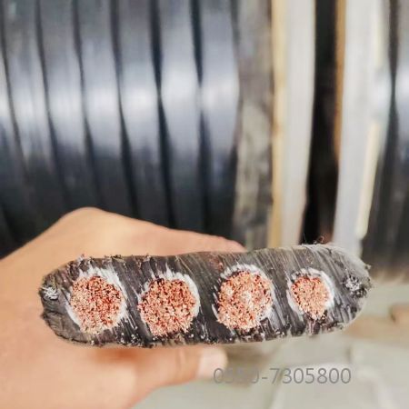 ������̳��hibet(�й�)�ٷ���վ