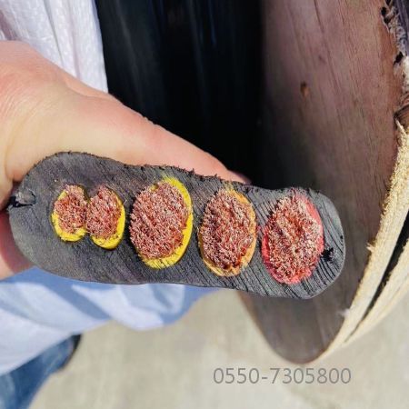 ������̳��hibet(�й�)�ٷ���վ