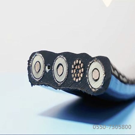 ������̳��hibet(�й�)�ٷ���վ