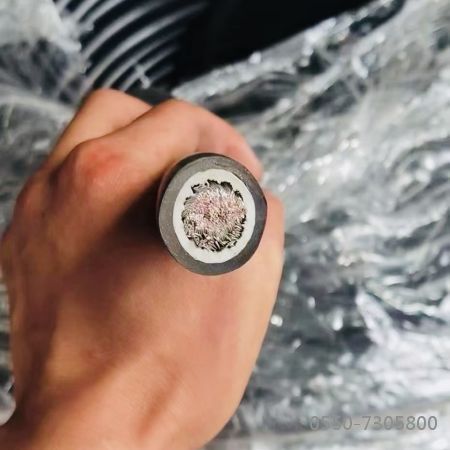 ������̳��hibet(�й�)�ٷ���վ