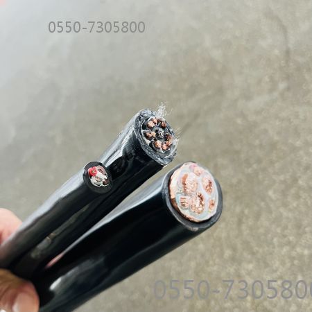 ������̳��hibet(�й�)�ٷ���վ