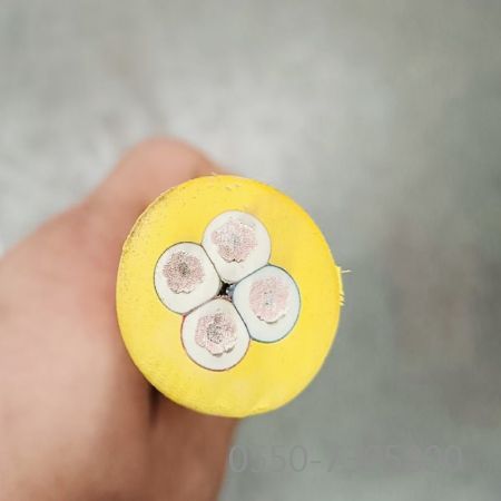 ������̳��hibet(�й�)�ٷ���վ