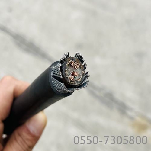 ������̳��hibet(�й�)�ٷ���վ