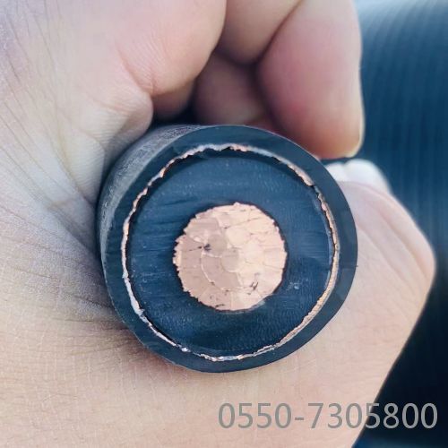 ������̳��hibet(�й�)�ٷ���վ