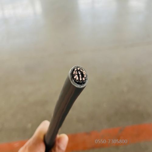 ������̳��hibet(�й�)�ٷ���վ