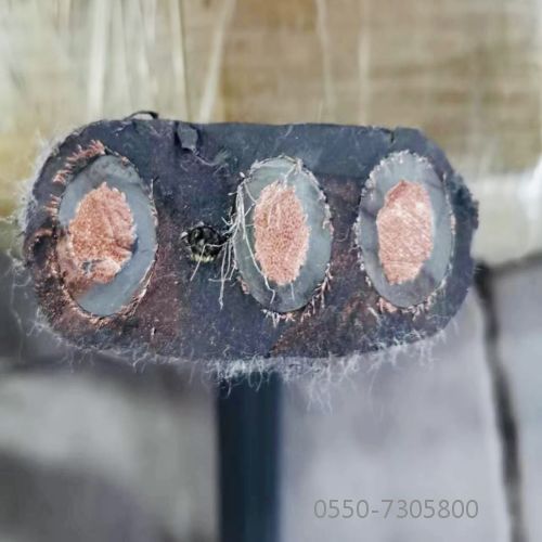 ������̳��hibet(�й�)�ٷ���վ