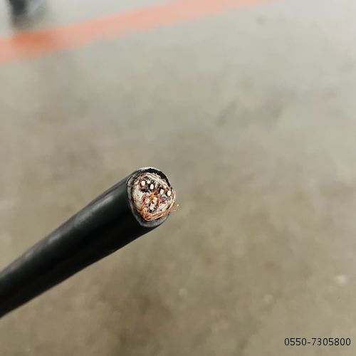 ������̳��hibet(�й�)�ٷ���վ