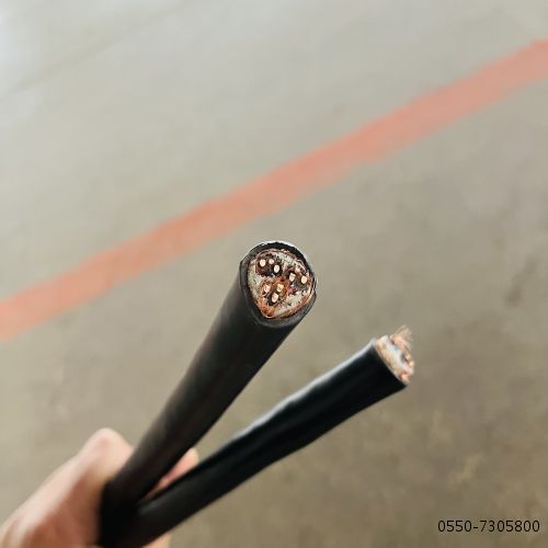 海博论坛·hibet(中国)官方网站