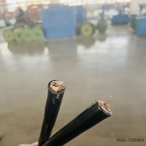 ������̳��hibet(�й�)�ٷ���վ