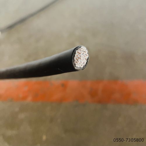 ������̳��hibet(�й�)�ٷ���վ