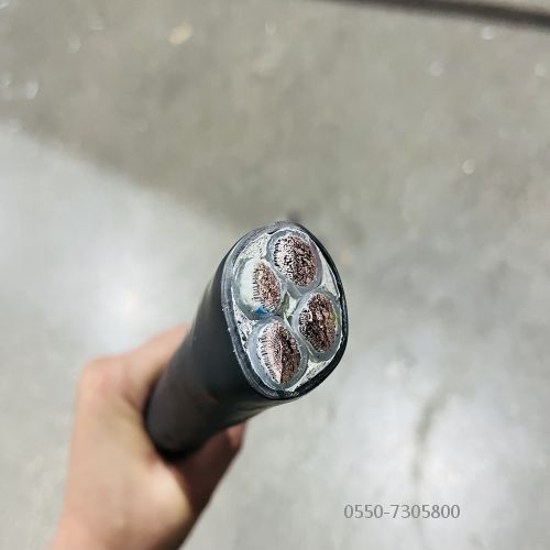 ������̳��hibet(�й�)�ٷ���վ