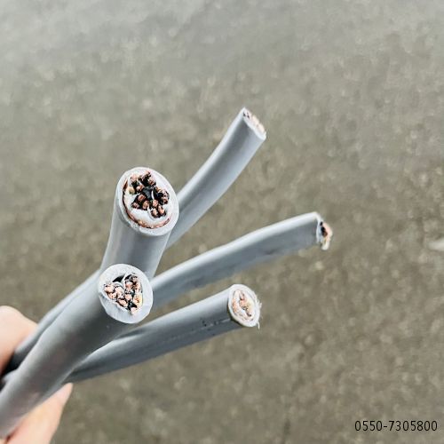 海博论坛·hibet(中国)官方网站