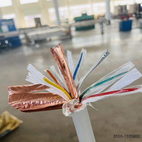 ������̳��hibet(�й�)�ٷ���վ