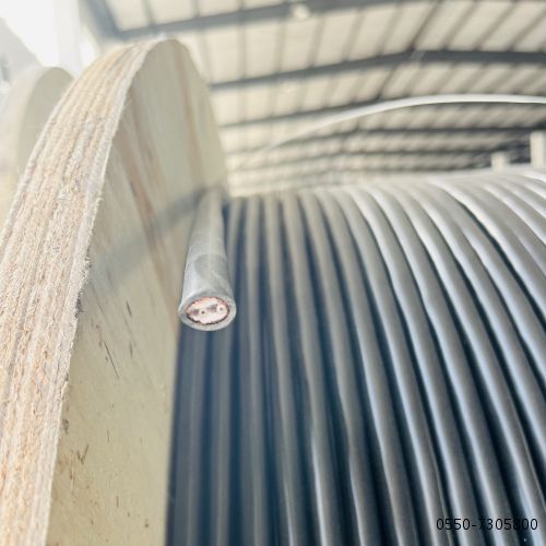 ������̳��hibet(�й�)�ٷ���վ