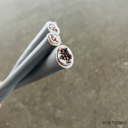 ������̳��hibet(�й�)�ٷ���վ