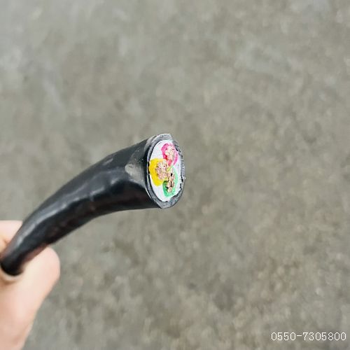 ������̳��hibet(�й�)�ٷ���վ