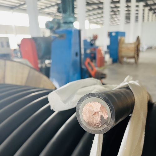 ������̳��hibet(�й�)�ٷ���վ