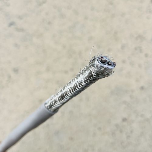 ������̳��hibet(�й�)�ٷ���վ