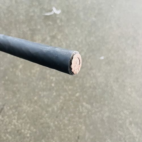 ������̳��hibet(�й�)�ٷ���վ