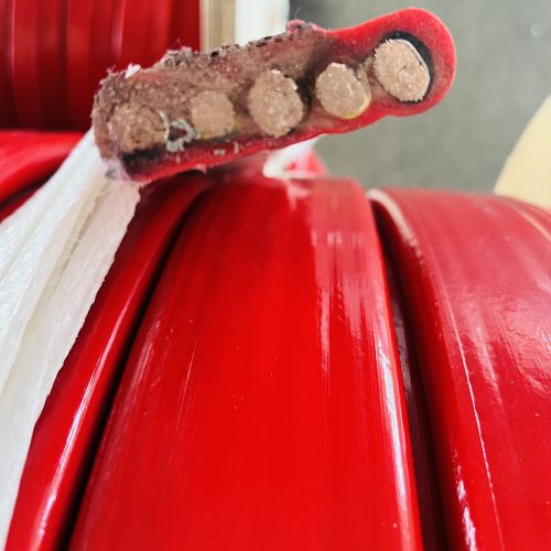 ������̳��hibet(�й�)�ٷ���վ