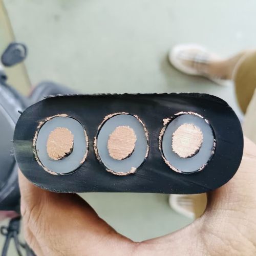 ������̳��hibet(�й�)�ٷ���վ