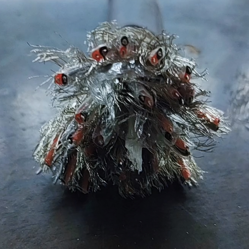 ������̳��hibet(�й�)�ٷ���վ