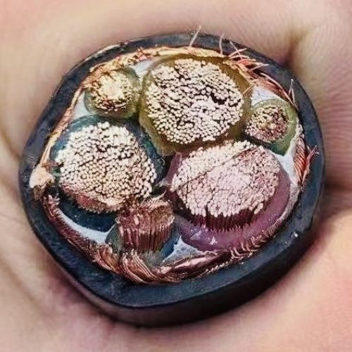 ������̳��hibet(�й�)�ٷ���վ